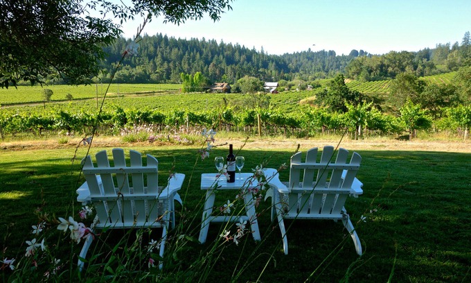 Graton House | Breathtaking Vineyard Estate with Spa and Hot Tub Retreat
