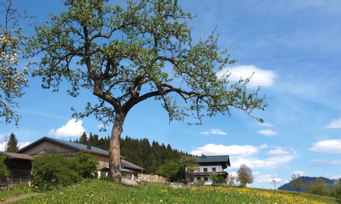 Goldegg House | Family-Friendly Escape at Unterhofgut - Rated 9.5/10