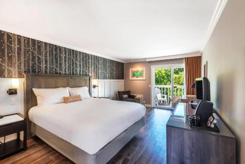 Calistoga Hotel | Relax at UpValley Inn & Hot Springs with Ocean View Amenities