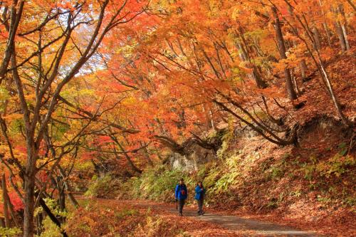 Bandaisan Onsen Resort | Serene Getaway at Urabandai Lake Resort Goshiki no Mori