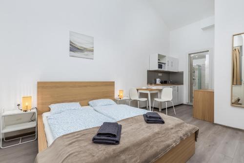 Erzsebetvaros Apartment | Urban studios in the city center