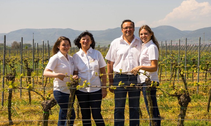 Neustadt-Duttweiler Apartment | Experience Vineyard Life with Pool & Breakfast Included
