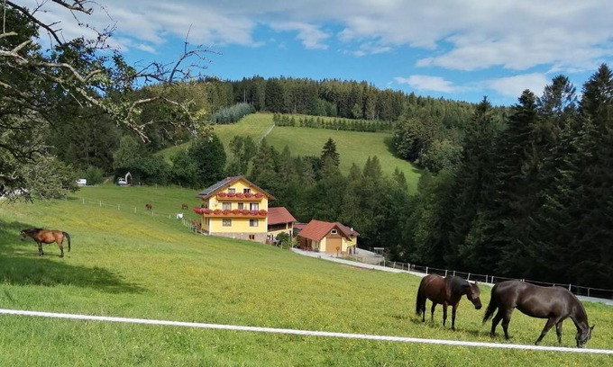 Sonnhofen House | Family-Friendly Farm Stay at Urlaub am Bauernhof