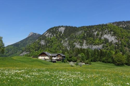 Fuschl am See House | Experience Relaxation in Nature - Guest Rated 10/10