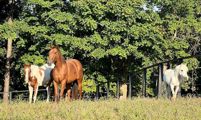 Beaverdam Lake-Salisbury Mills House | Idyllic Retreat on a 50 Acre Historic Ranch - 10/10 Rating