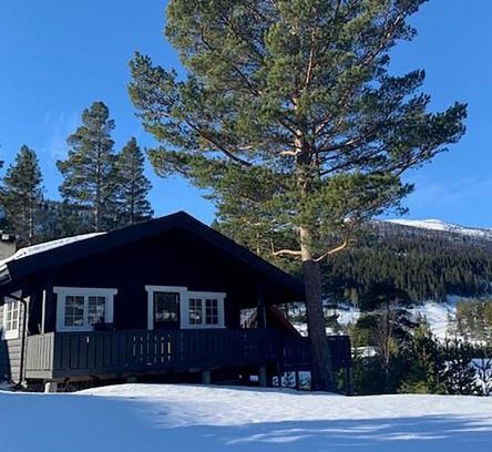 Nore og Uvdal House | Uvdalhytta: Ideal Getaway for Skiing Enthusiasts