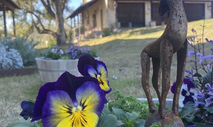 Marble Falls Villa | Discover V700 Ranch: Eco-Friendly Guesthouse with Lake Views