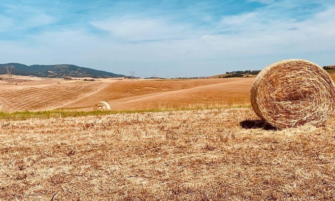 Orciano Pisano Apartment | Idyllic Stay in Tuscan Hills Steps from the Ocean