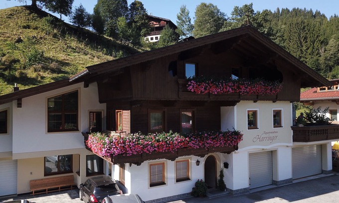 Wildschoenau Apartment | Comfortable Apartment for 5 Guests in Auffach Wildschönau