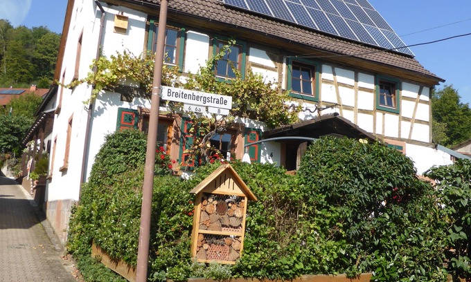 Wilgartswiesen Apartment | Pet-Friendly Vacation Apartment at Breitenberg - Rated 9.6