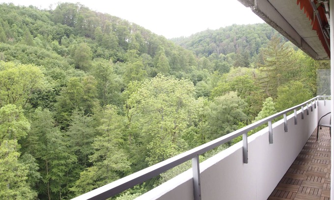 Bad Harzburg Apartment | Family-Friendly Vacation Apartment with Pool at GrünWald