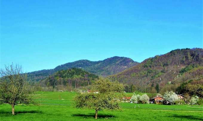 Neubeuern Apartment | Cozy Nussbaum Apartment with Pool & Breakfast Included