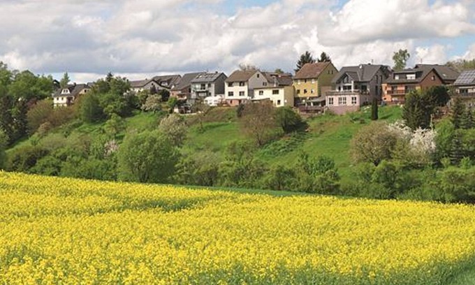Mechernich Apartment | Relaxing Retreat: Roter Kater Vacation Apartment with Spa