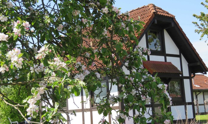 Hollern House | Pet-Friendly Holiday House Deichgraf for Up to 6 Guests
