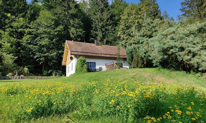 Bodenmais House | Experience Nature: Pet-Friendly Getaway in the Forest