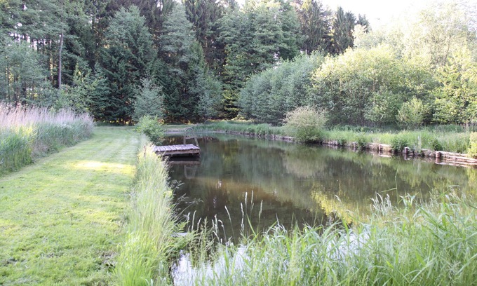 Bomlitz House | Adventure Awaits: Family-Friendly Retreat in the Heath