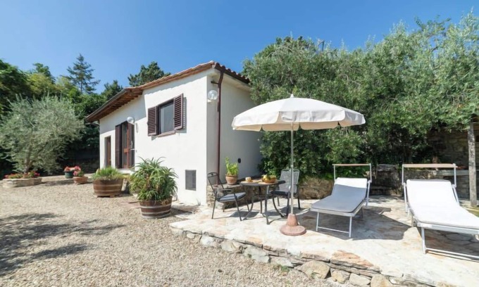 Castellina in Chianti House | Experience Olivo: Pet Friendly Vacation Home with Pool & Spa