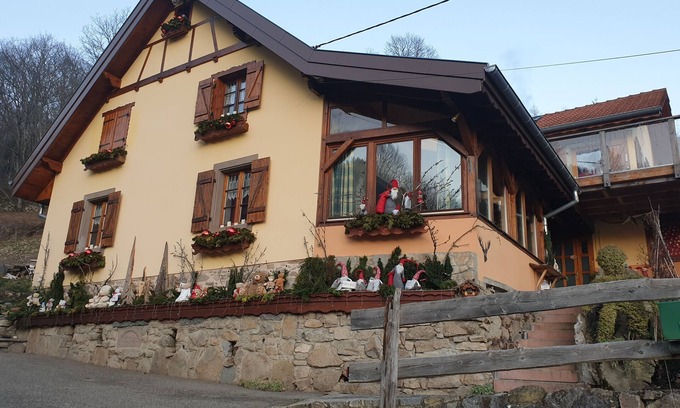 Muhlbach-sur-Munster Apartment | Unforgettable Vacation Location with Lake View & Kitchen