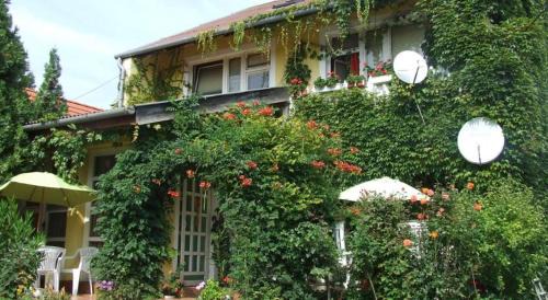 Cak Apartment | Discover Vadszőlő Vendégház: Top-Rated Family Retreat