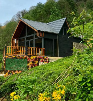 Ayder Resort | Explore VAESS Villa Dağ Evleri: Pet-Friendly Getaway