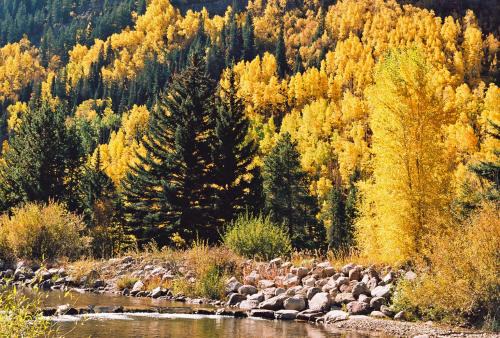 Vail Resort | Discover Vail Racquet Club Mountain Resort - Family-Friendly Fun
