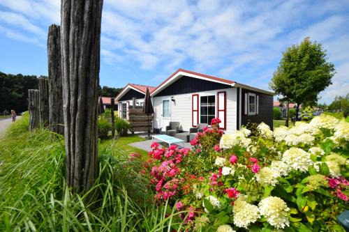 Groot Valkenisse Resort | Discover Vakantiepark de Meerpaal: Oceanfront Family Retreat