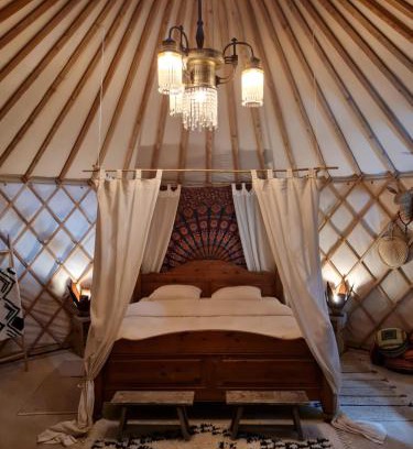 Eckelrade House | Charming Farmhouse Retreat with Yurt: 4-Star Pet Friendly