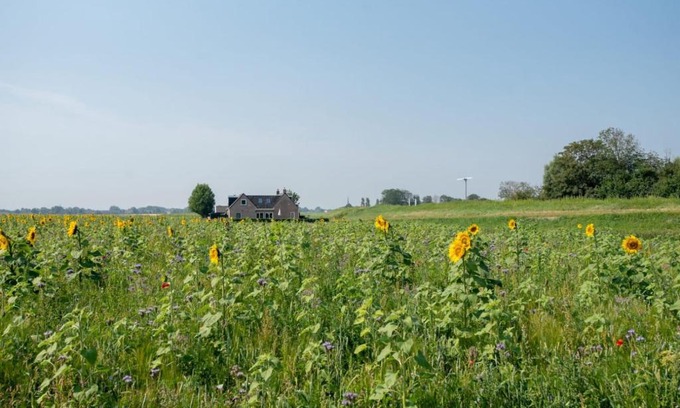 Holwerd House | Family-Friendly Vakantiewoning Oer it fjild, Rated 9.6/10