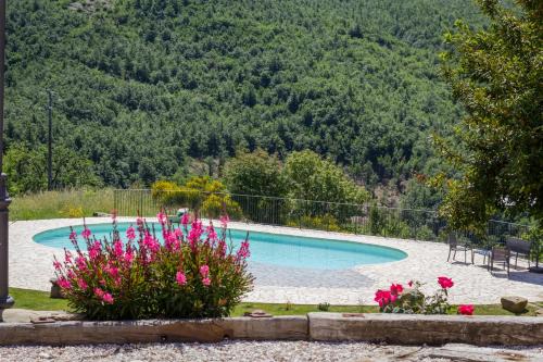 Mercatello sul Metauro Bed & Breakfast | Exceptional Valbuona B&B: Pet Friendly with Pool & Breakfast