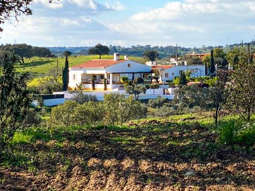 Almodovar House | Vale da Lama
