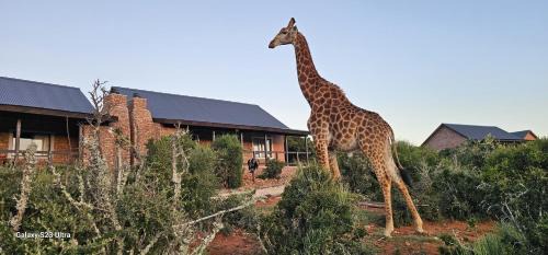 Nelson Mandela Bay Cabin | Discover Valley Bushveld Country Lodge with Oceanfront Views