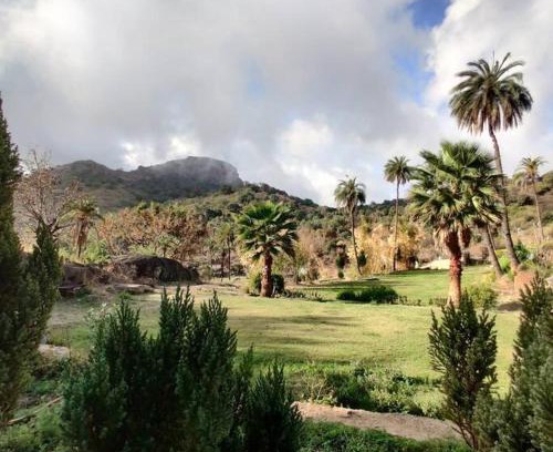 Mount Abu House | Family-Friendly Valley Nest for 6-12 PAX - Rated 10/10!