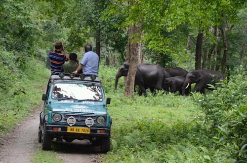 Alipurduar Cabin | Budget-Friendly Stay at Vamoose Aaltapori with Breakfast