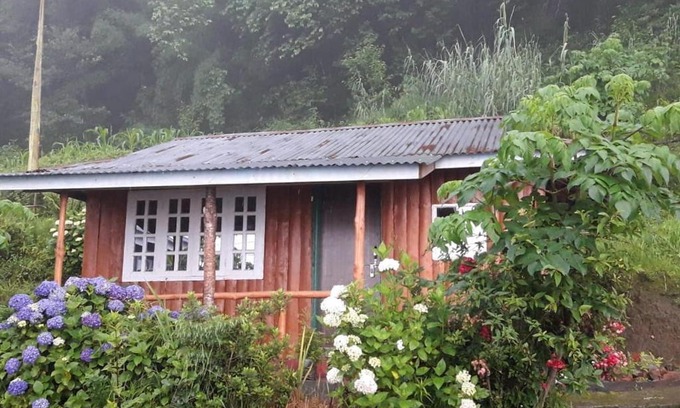 Geyzing House | Budget-Friendly Vamoose Red Panda: Perfect for Families