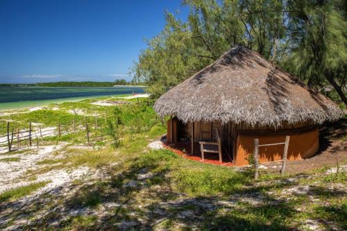Antsiranana Hotel | Discover Varatraza Wind Riders: Pet-Friendly Oceanfront Escape