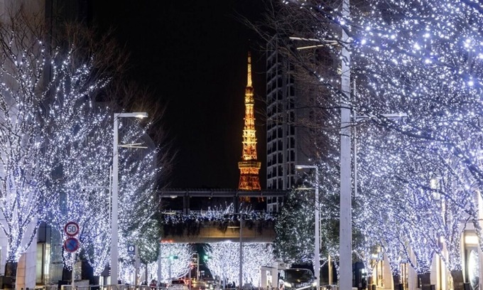 Azabu-Juban Apartment | Discover VAS Azabujuban: Perfect for Families and Pets
