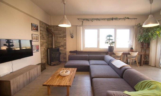 Nicosia Apartment | Vas' Penthouse: Pet-Friendly Oceanfront Retreat, 4 Stars