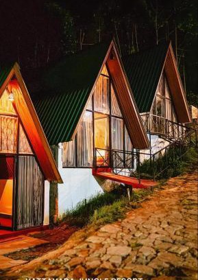 Periyur House | Discover Vattavada Jungle Resort: Family-Friendly Getaway