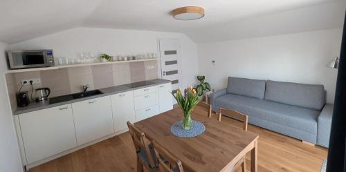 Nove Mesto na Morave Apartment | Vejminek NMNM
