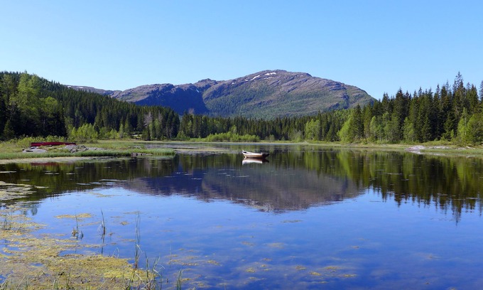 Brønnøy Cabin | Enjoy Nature at Velfjord Camping & Hytter - Pet Friendly Retreat