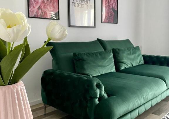Tirgu Mures Apartment | Exceptional Velvet Studio: Family-Friendly Retreat