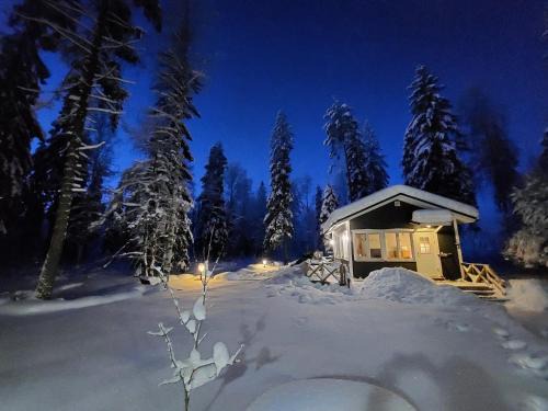 Kontiolahti Ski Chalet | Experience Venejoen Piilo - Kuohu: Pet-Friendly Retreat