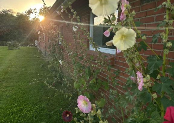 Morsø Municipality Bed & Breakfast | Top-Rated Vestervang Bed and Breakfast for Families