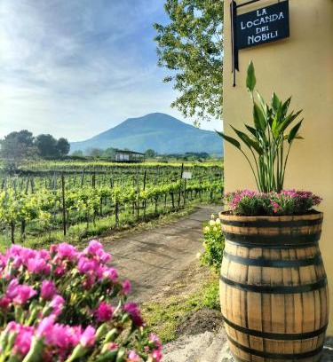 Boscotrecase House | Relax at Vesuvio Inn: Wine Experience & Oceanfront Bliss