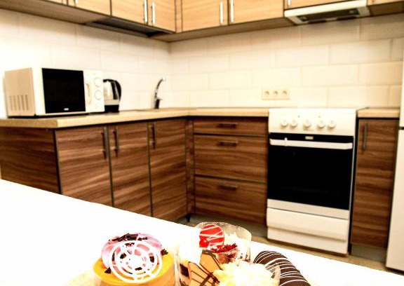 Omsk Apartment | VGOSTI OMSK: Pet-Friendly 2-Room Suite, Rated 10/10!