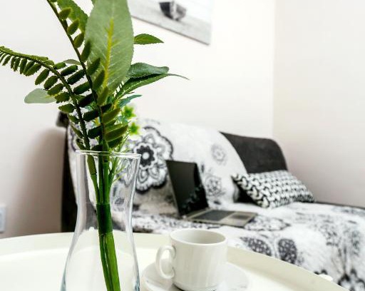 Omsk Apartment | VGOSTI OMSK: Comfort with Pet-Friendly Amenities