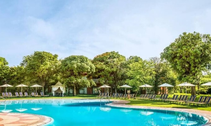 Livingstone House | Victoria Falls Adventure: Poolside Relaxation Near The Big Tree