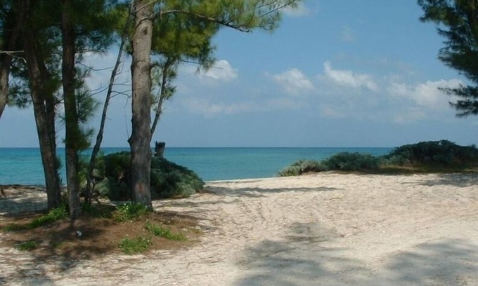 Green Turtle Cay House | Discover Victoria's Island House: Oceanfront Oasis with Pool