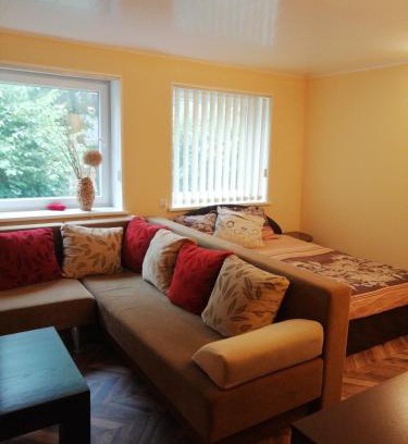 Kintai Apartment | Cozy One-Bedroom Apartment - Family-Friendly Stay