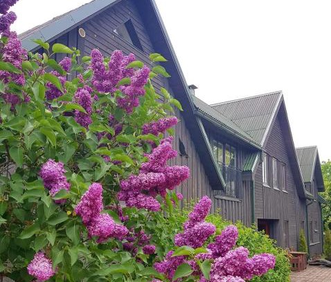 Pavilosta House | Budget-Friendly Stay at Viesu māja Zvilnis - 9/10 Rated